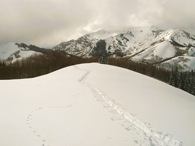 Fresh Tracks